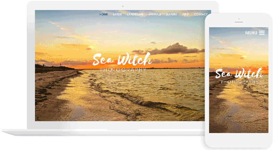 Sea Witch Photography (Compound Display)